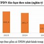 Cong Thương Thị Trường Việt Nam 2024