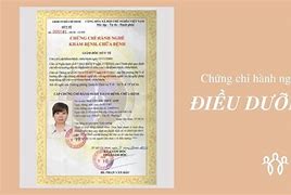 Học Chứng Chỉ Hành Nghề Điều Dưỡng Có Lương Không