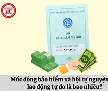 Tra Bảo Hiểm Xã Hội Tự Nguyện