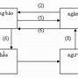 Về Một Cửa Hàng Oackq6T6Fjq Data